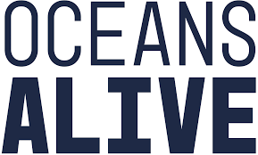 oceansalive.co.uk