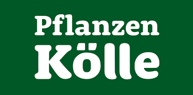 pflanzen-koelle.de